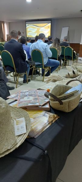 img wa0045 img wa0045