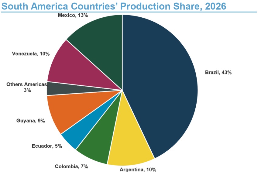 02-participacao-paises-america-sul-producao-2026-msi.jpg